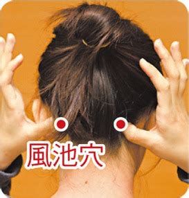 风池穴位图图片