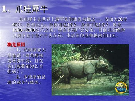 近几十年来在我国野外灭绝的12种动物，长江双白在列__凤凰网