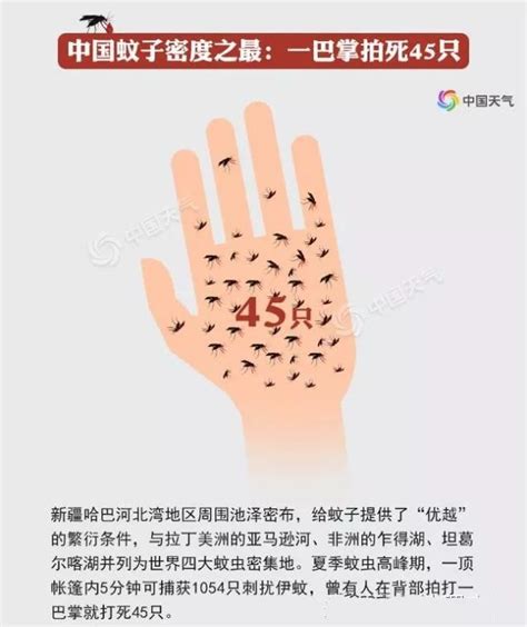 穿越千年的人蚊大战：中国哪里的蚊子最猖獗？_凤凰网时尚_凤凰网
