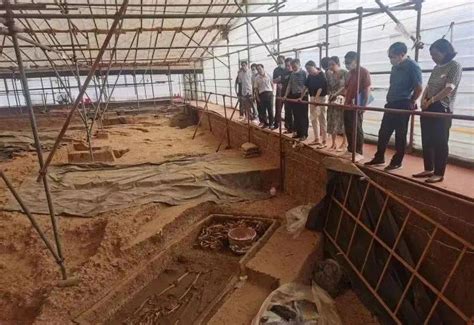 继续领跑！南阳黄山遗址入选2021全国十大考古新发现-河南省文物局