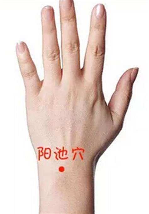 阳池准确位置图片