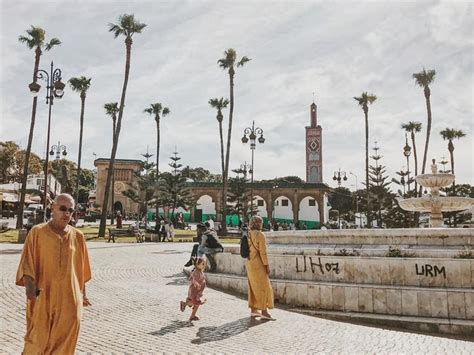 普通住宅和清真寺。摩洛哥丹吉尔的城市景观
