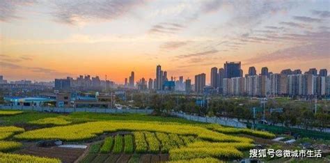 武汉大学和合肥工业大学哪个好 2023分数线排名对比