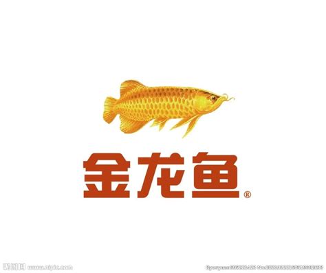 金龙鱼五常基地原香稻诠释冬奥美食链上的“科技奥运”_凤凰网