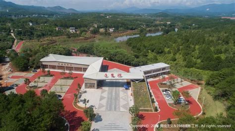 强降雨造成福建武平发生山体滑坡__凤凰网