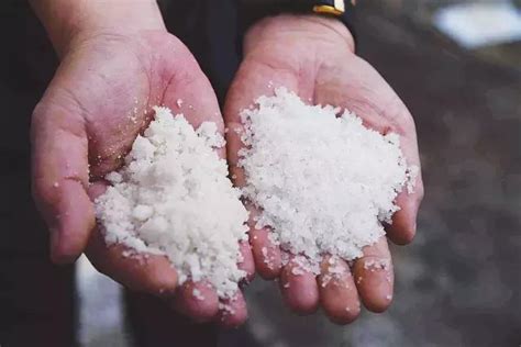 IN视频|食盐中的“亚铁氰化钾”究竟是啥？食盐专家现场给你科普_深圳新闻网