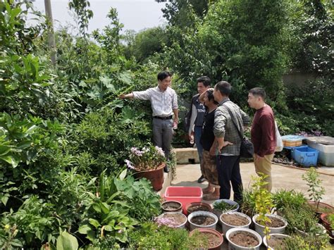 中草药栽培与加工技术 （专科）-云南农业大学热带作物学院