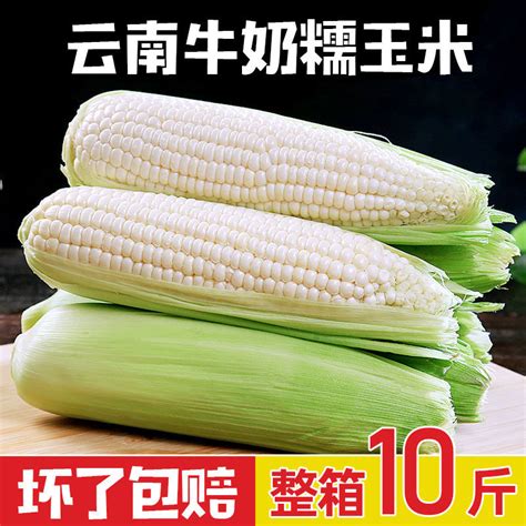 玉米大丰收多到吃不完，只需要这样做，一年四季都有新鲜玉米吃_凤凰网视频_凤凰网
