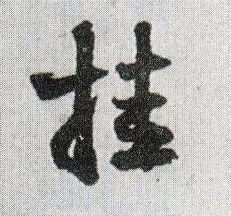 挂载 的图像结果