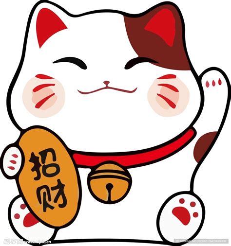 发财富贵猫图片