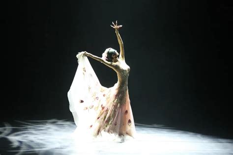 杨丽萍的孔雀舞惊艳了世人，那金星的现代舞蹈你们看过吗？|金星|杨丽萍|舞蹈_新浪新闻