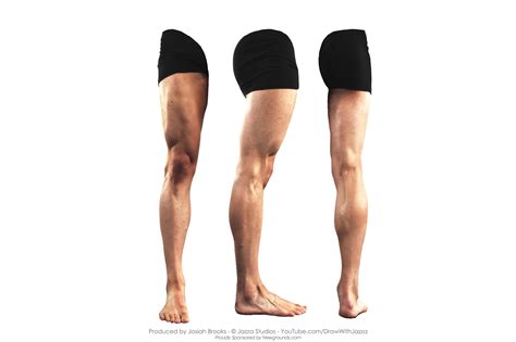 男性下肢腿部的绘画素材艺用图片-普画网