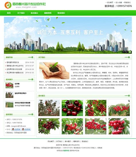 网站模板_西安网络公司_西安网站建设_西安网站开发-陕西百联科技有限公司