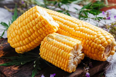介绍常见的玉米品种 - 运富春