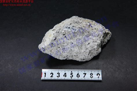 二长花岗岩_Adamellite_国家岩矿化石标本资源共享平台
