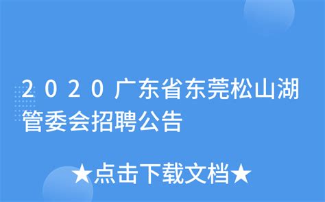 2020广东省东莞松山湖管委会招聘公告