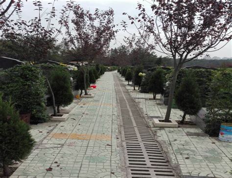 金山陵园-北京金山陵园公墓价格-公墓电话-北京公墓网