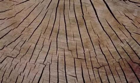 怎么样防止木材开裂-百度经验
