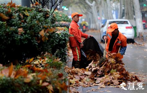 又是一年落叶季，环卫工人清扫忙_常州市环球环卫服务有限公司