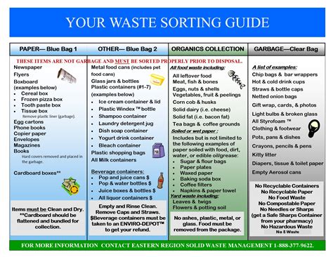 How to sort garbage at home: a complete guide – Healthy Food Near Me