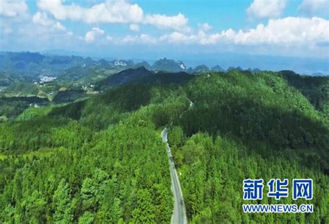 纳雍县开展地质灾害突发事件应急演练