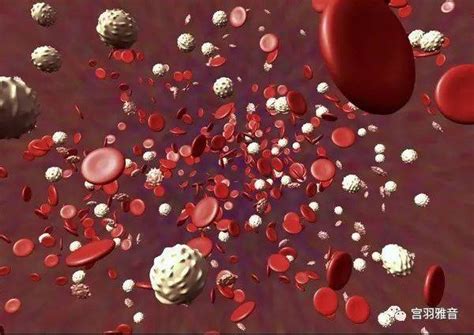 弥散性血管内凝血的发病机理- 生命经纬知识库