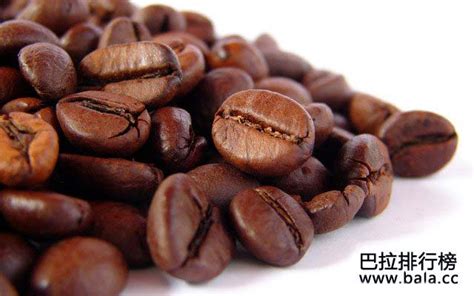 咖啡豆的种类-咖啡豆的种类有哪些 咖啡豆如何选择 | 咖啡奥秘
