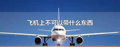 【新规】明年起，坐飞机这些东西不能携带或托运（附目录）-中国长安网