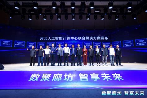 河北人工智能计算中心正式上线运营—廊坊控股集团