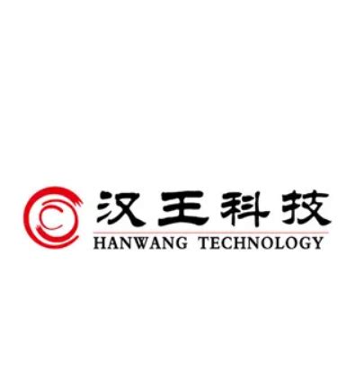 汉王数字科技公司_空灵LOGO设计公司