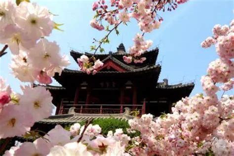 春节去西安旅行有哪些不可错过的景点？看看玩了5天的女孩怎么说