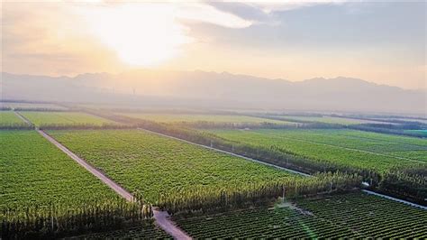 宁夏品质中国行（北京站）特色农产品推介会举行_凤凰网视频_凤凰网