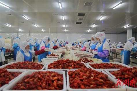 武汉一市场内有人专收死虾 被运进一食品加工厂_新闻频道_中国青年网