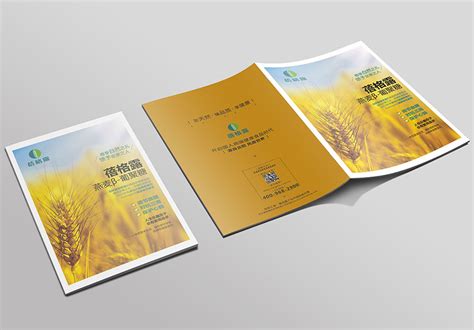 东莞宣传册设计：宣传册设计制作的思路 _东莞市华略品牌创意设计有限公司
