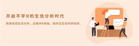 仙桃中宝塑料制品有限公司 - PC网站案例 - 泰州宇易网络