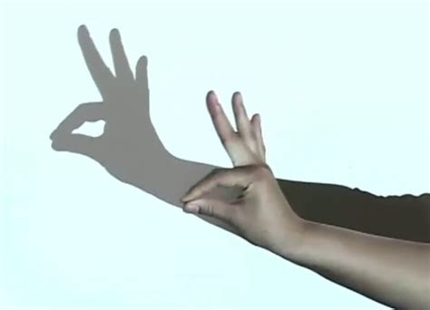 手影戏的动作,手影戏的手势,简单手影戏的手势_大山谷图库