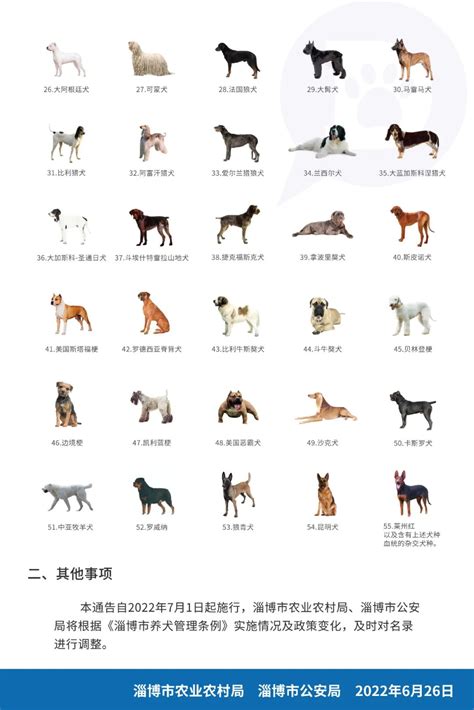 关于公布淄博市重点管理区禁止饲养烈性犬名录的公告-公示公告-政务公开-淄博市公安局