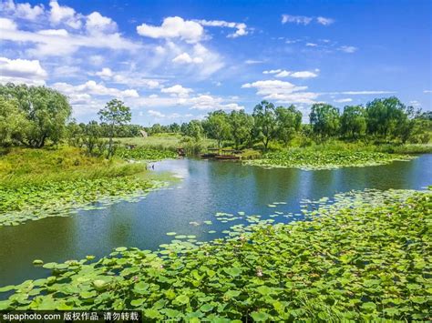 北京最大的“绿肺”温榆河公园