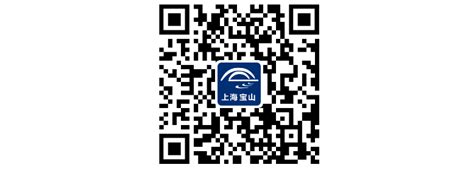 上海宝山三区划分查询系统上线（附查询入口）- 上海本地宝