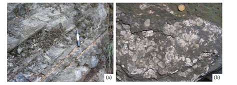 Carbon Isotope Records Indicative of Paleoceanographical Events at the ...