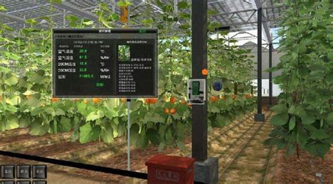 可视化农业直播平台助推现代农业发展 - _农视云可视农业直播平台