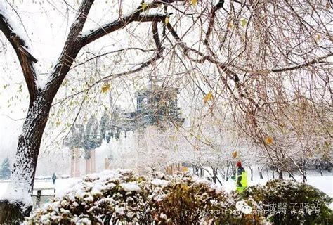 熊黛林哈尔滨下雪图片