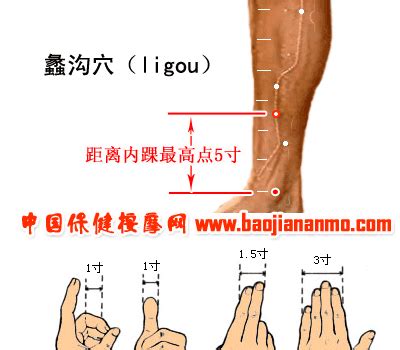 蠡沟准确位置图图片