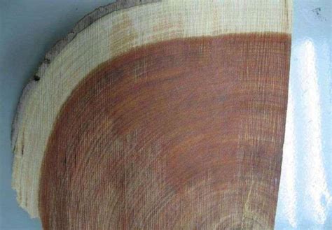 世界上最贵的木材——紫檀木__凤凰网