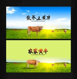 牛场的全景图插画图片下载-正版图片600082080-摄图网