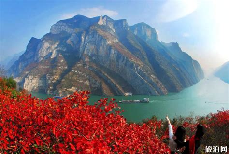 人民网：又到满山红遍巫山红叶节11月20日开幕