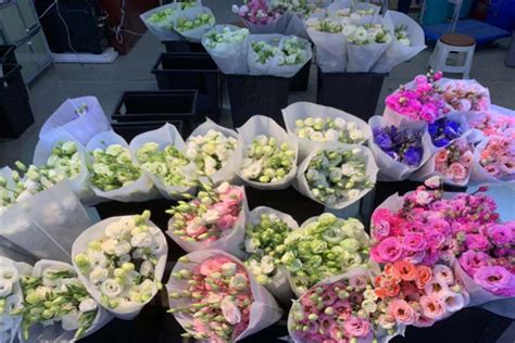 上海青浦鲜花批发市场,青浦区最大的花卉市场,上海花卉批发市场_大山谷图库