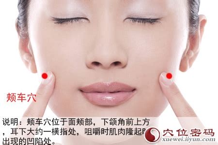 颊车的准确位置图图片