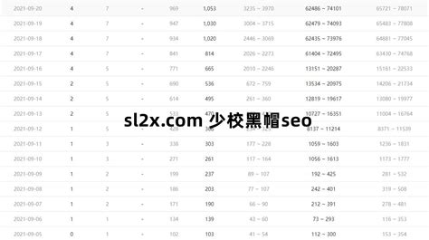 影视网站如何做seo?电影网站怎么做优化?单站35W日IP站长教程 - 少校seo博客