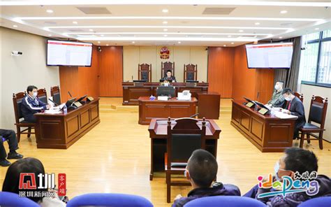 “大鹏法庭巡回法庭”在新区仲裁庭审理“第一案”_深圳新闻网